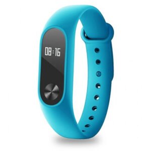 Band Fitbit Flex